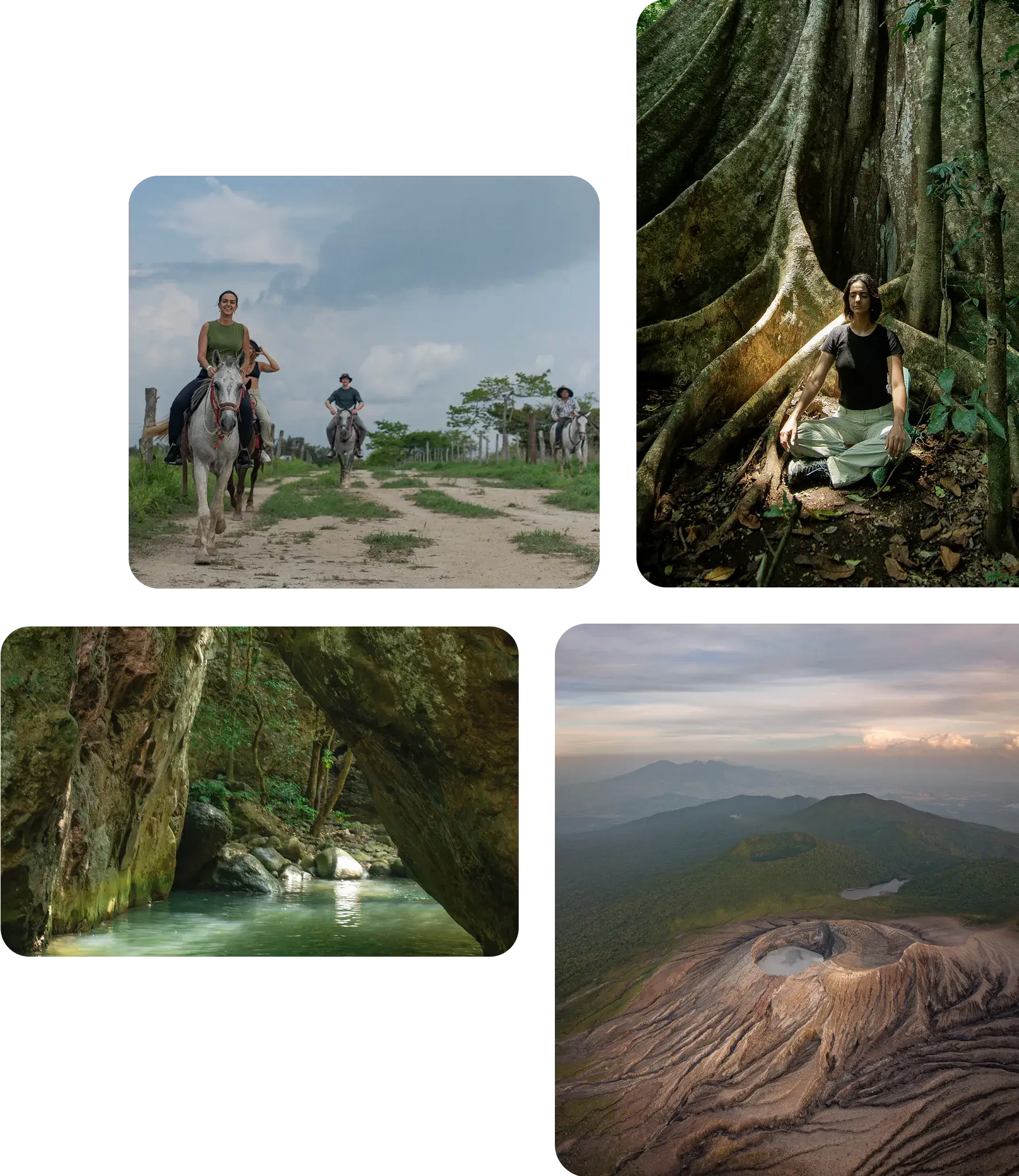 fotos variadas de la naturaleza que ofrece harmony